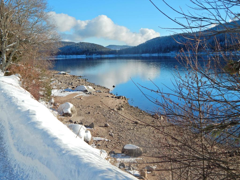 Hochschwarzwald-Hof Hotel Schluchsee Buitenkant foto