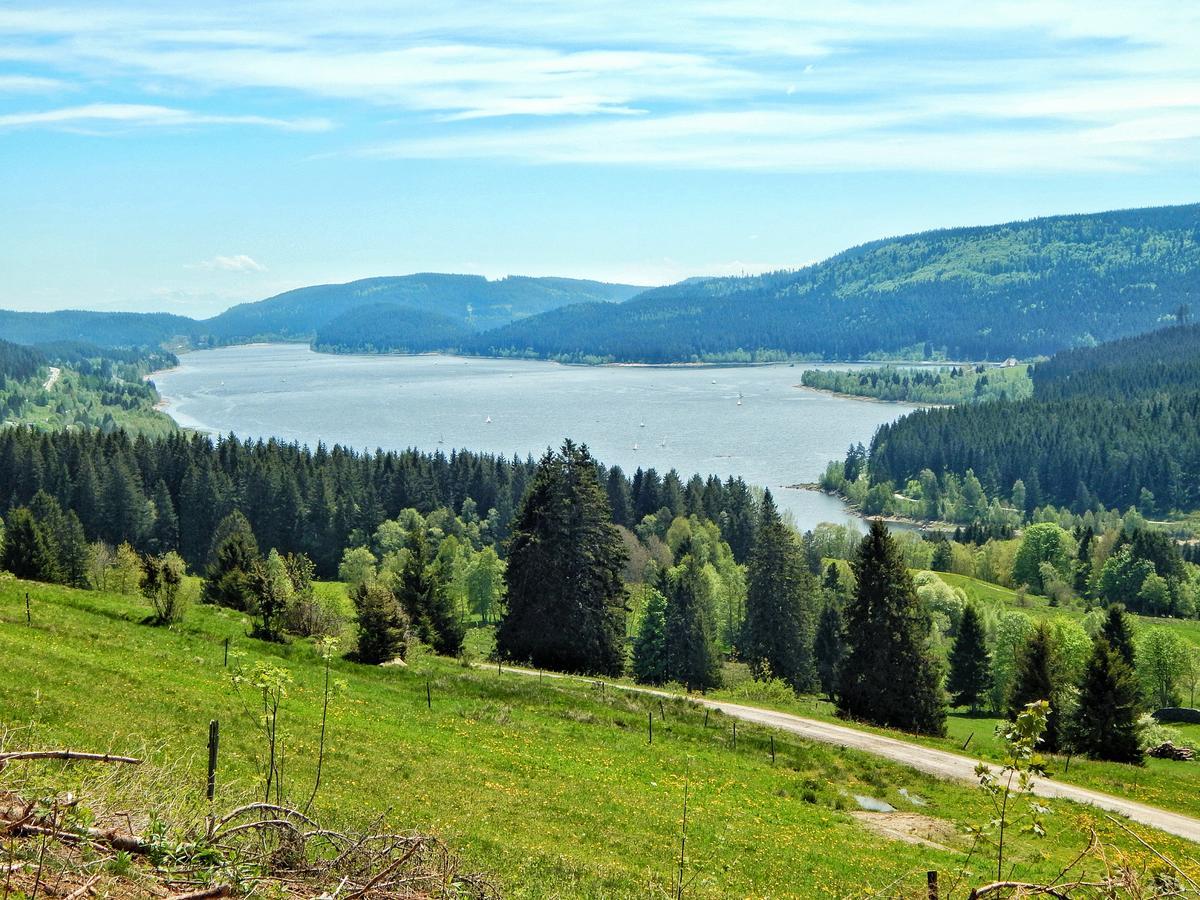 Hochschwarzwald-Hof Hotel Schluchsee Buitenkant foto